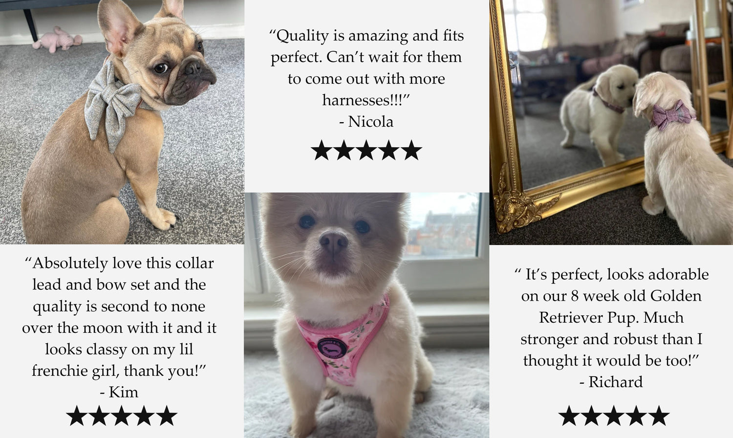 Dash Of Hounds Reviews featuring French Bull Dog wearing oatmeal grey tweed dog collar and sailor bow, Chow Chow wearing the pink floral watercolour dog harness by Hunter & Co. and a golden retriever wearing the rose pink tweed dog collar and bow handmade by Dash Of Hounds