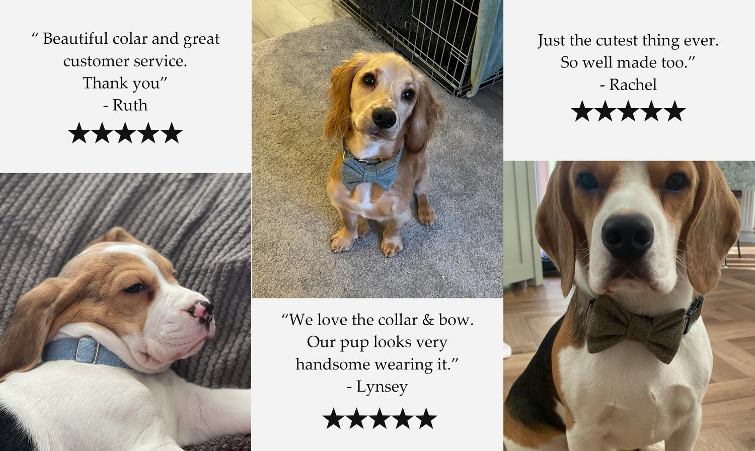 Dash Of Hounds Reviews featuring a Beagle wearing the Heritage Blue Herringbone Harris Tweed dog collar, Golden Cocker Spaniel wearing the heathery blue Yorkshire Tweed dog collar and bow, Beagle wearing the pale green tweed dog collar and bow set handmade by Dash Of Hounds