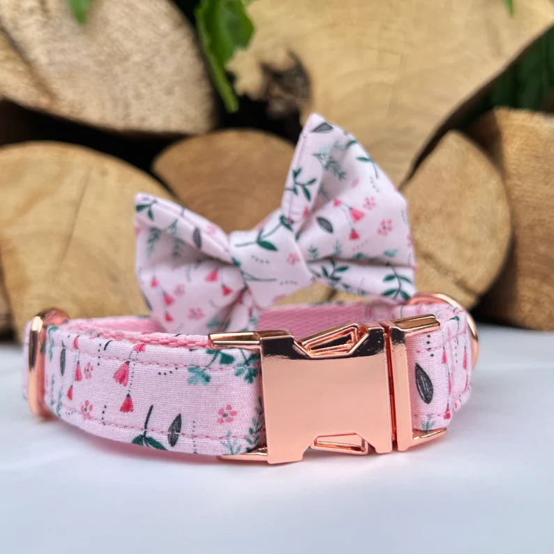 Cheap puppy collars best sale