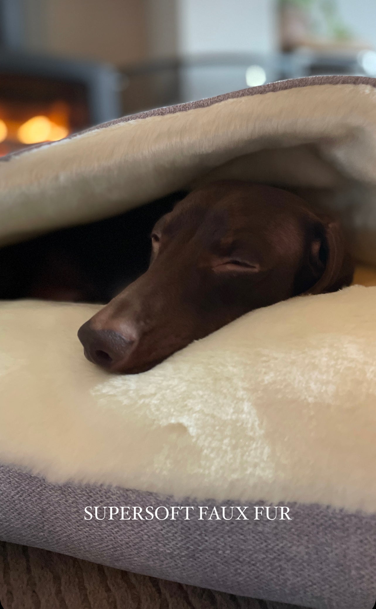 Light Grey Snuggle Cave Dog Bed Dash Of Hounds