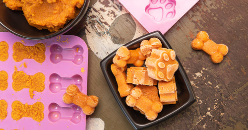 DIY pumpkin frozen dog treats