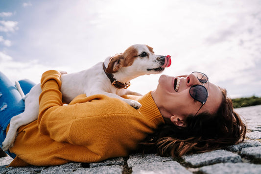 Dog licking their owner