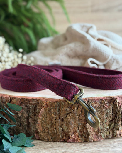 Design Your Own Harris Tweed® Dog Lead Dash Of Hounds
