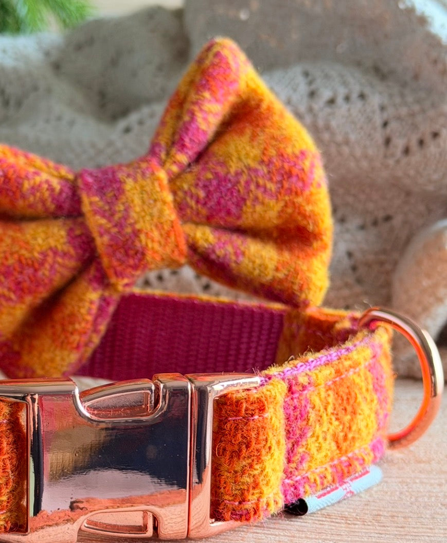 Harris Tweed® Fruit Salad Sorbet Orange Cerise Pink Tweed Dog Collar Bow & Lead Set Dash Of Hounds