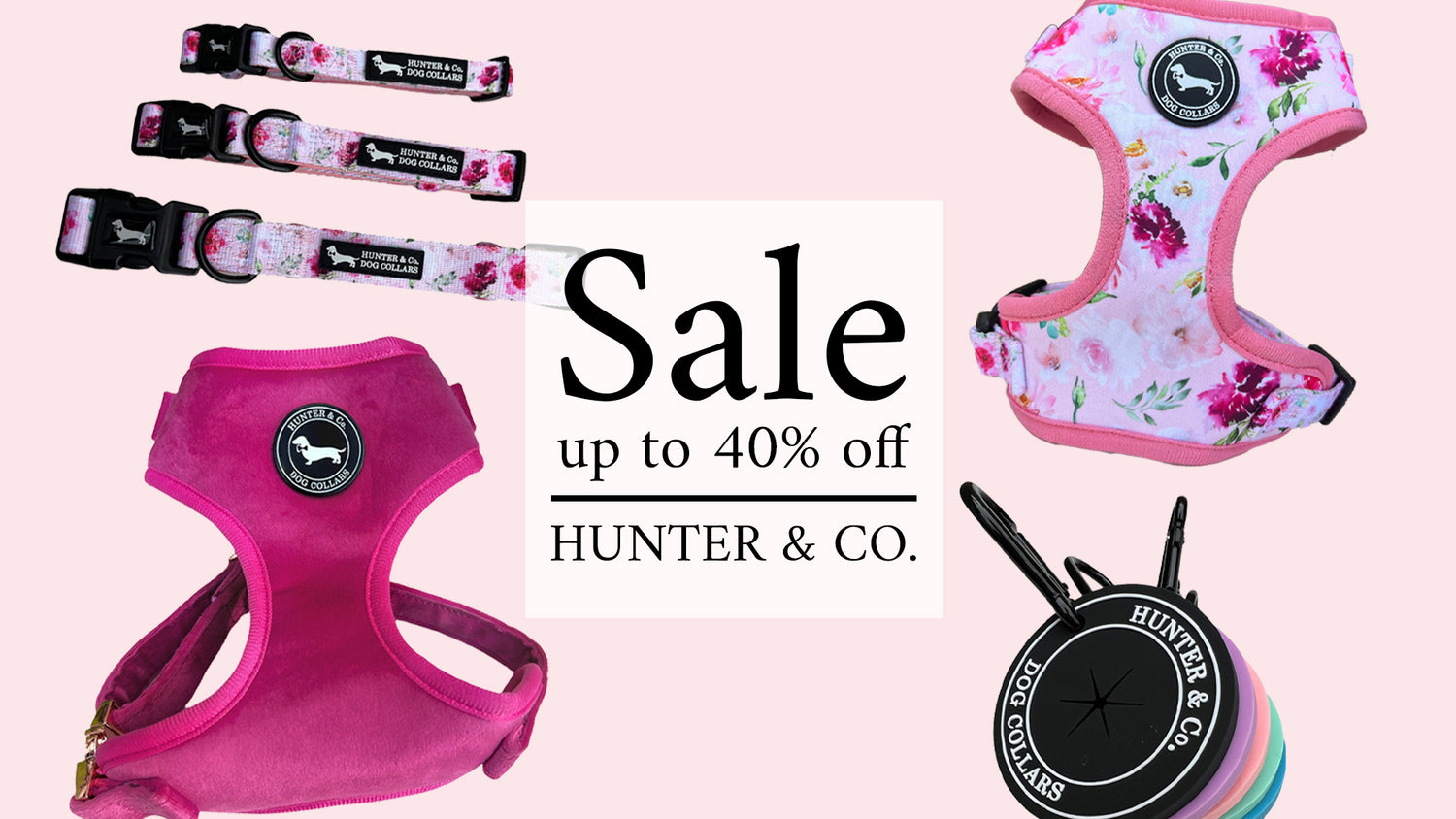 Dog Supplies Sale Hunter & Co. Dash Of Hounds