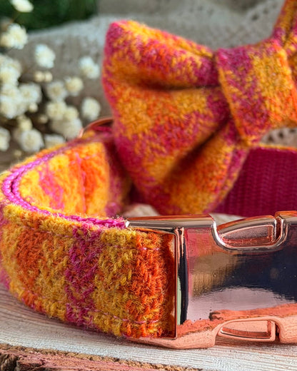 Harris Tweed® Fruit Salad Sorbet Orange Cerise Pink Tweed Dog Collar Bow & Lead Set Dash Of Hounds