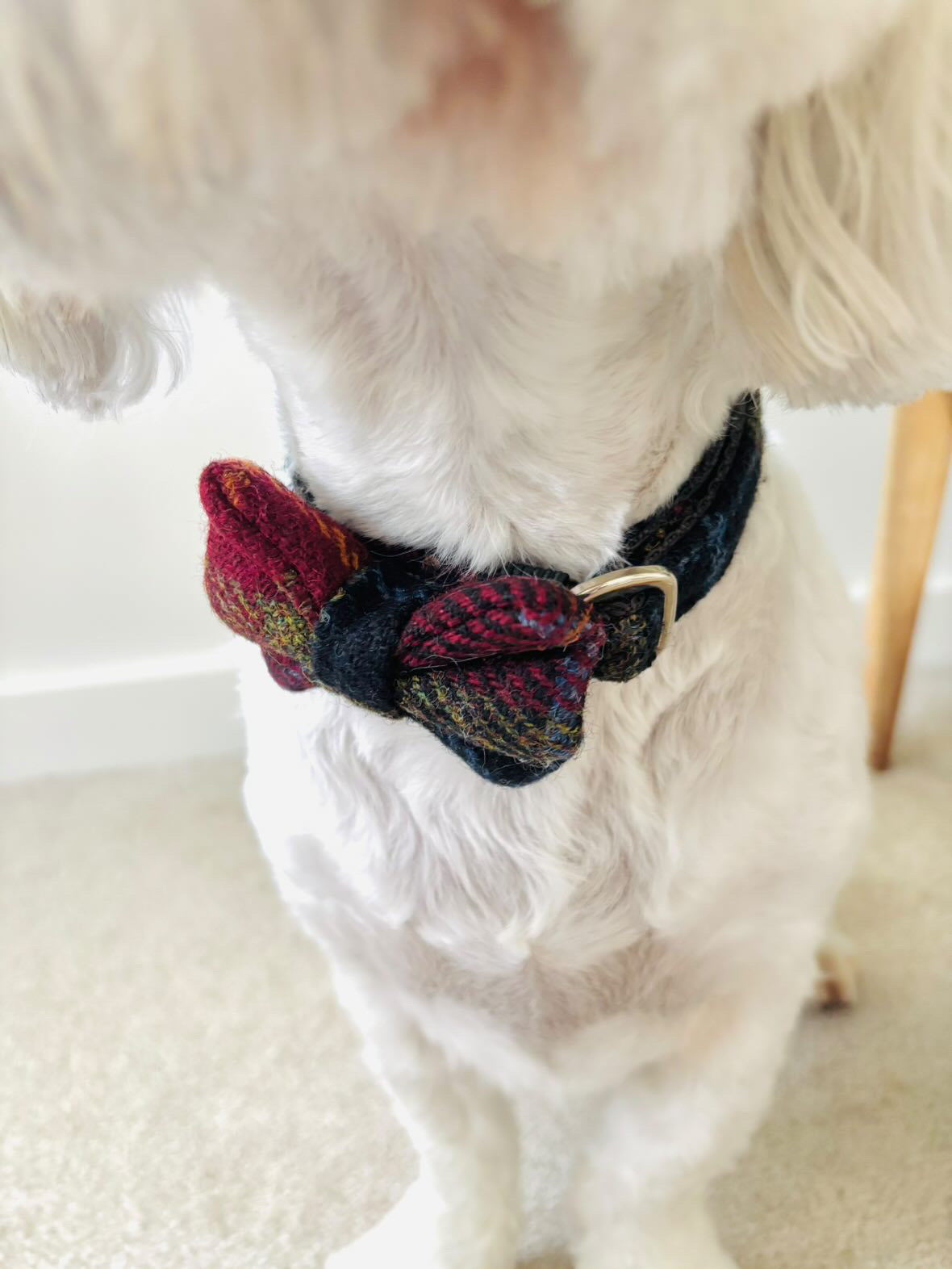 Harris Tweed® Autumn Brown Dog Collar Bow & Lead Set Dash Of Hounds