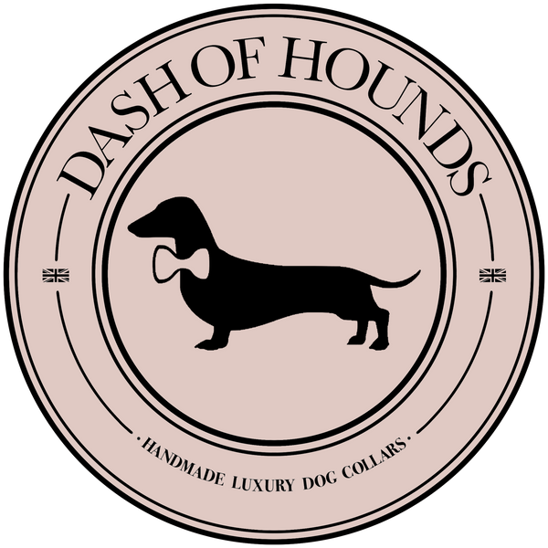 Dash Of Hounds