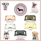 Bubblegum Pink Tweed Dog Collar Bow & Lead Set Dash Of Hounds