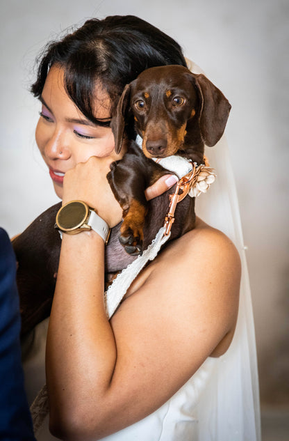 White Lace Wedding Dog Collar Flower and Lead Set Rose Gold Dash Of Hounds