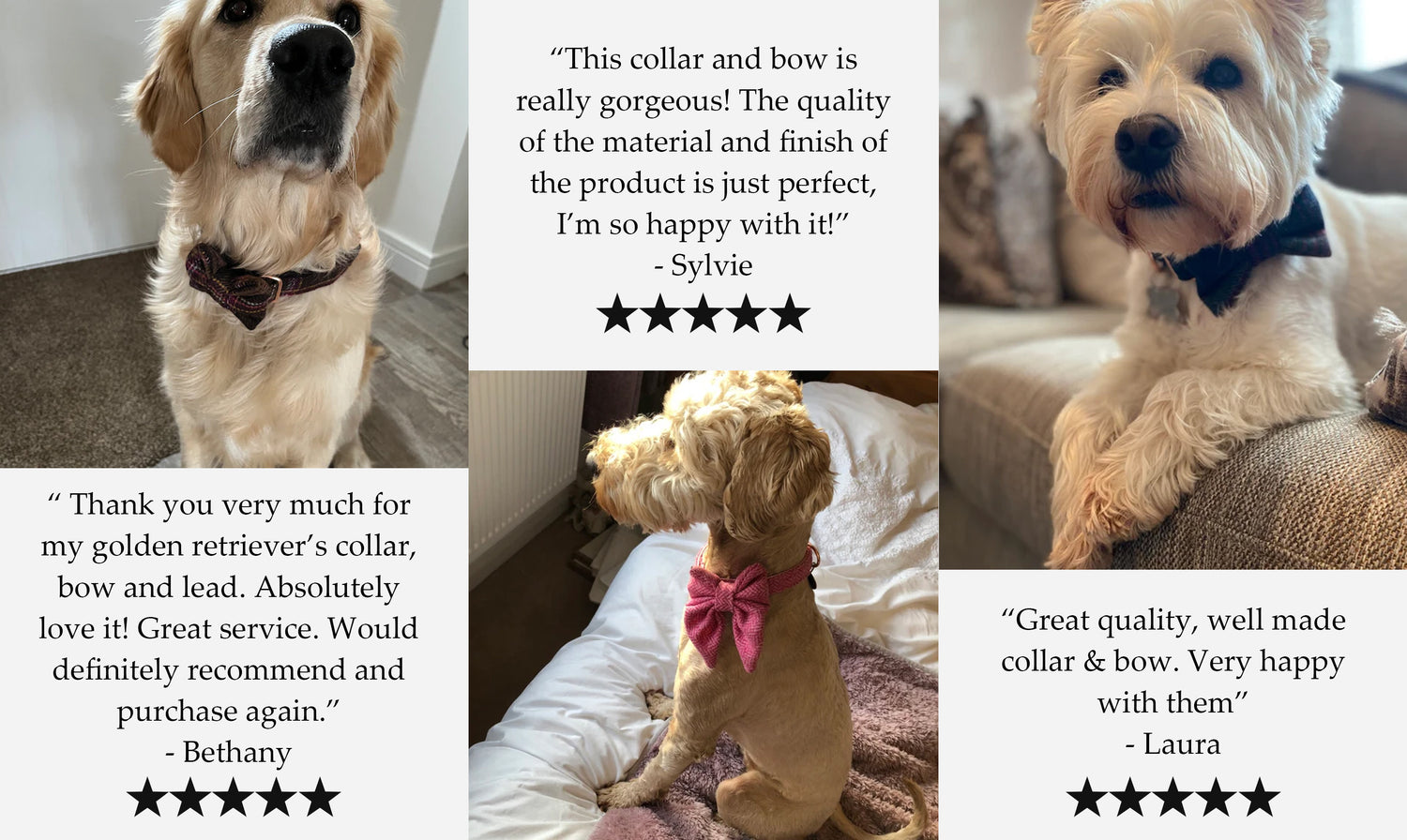 Dash Of Hounds Reviews featuring a Golden Retriever wearing the Autumn Pastel Yorkshire Tweed dog collar, Poodle Cross wearing the raspberry pink Tweed dog collar and sailor bow and a West Highland Terrier wearing the black herringbone tweed dog collar and bow set handmade by Dash Of Hounds