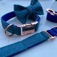 Aqua Marine Blue Tweed Dog Collar Bow & Lead Set