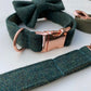 Teal Green Tweed Dog Collar Bow & Lead Set