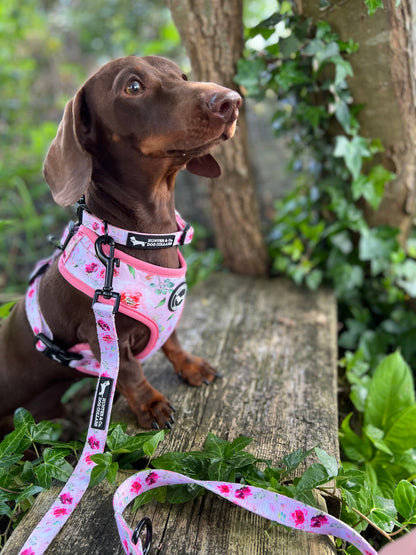 Pink Watercolour Floral Dog Collar Hunter & Co.