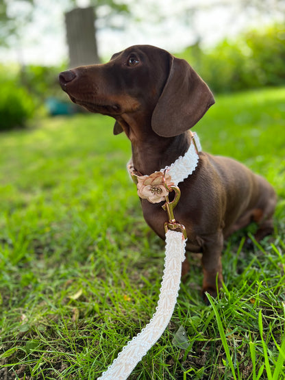 White Lace Wedding Dog Collar Flower and Lead Set Rose Gold Hunter & Co.