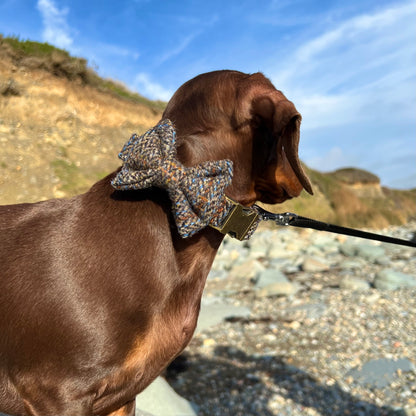 Harris Tweed® Brown Blue Herringbone Dog Collar Bow & Lead Set Hunter & Co.