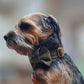 Green Tweed Dog Collar Bow & Lead Set Hunter & Co.