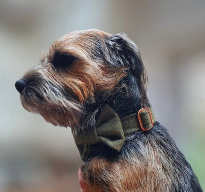 Green Tweed Dog Collar Bow & Lead Set Hunter & Co.