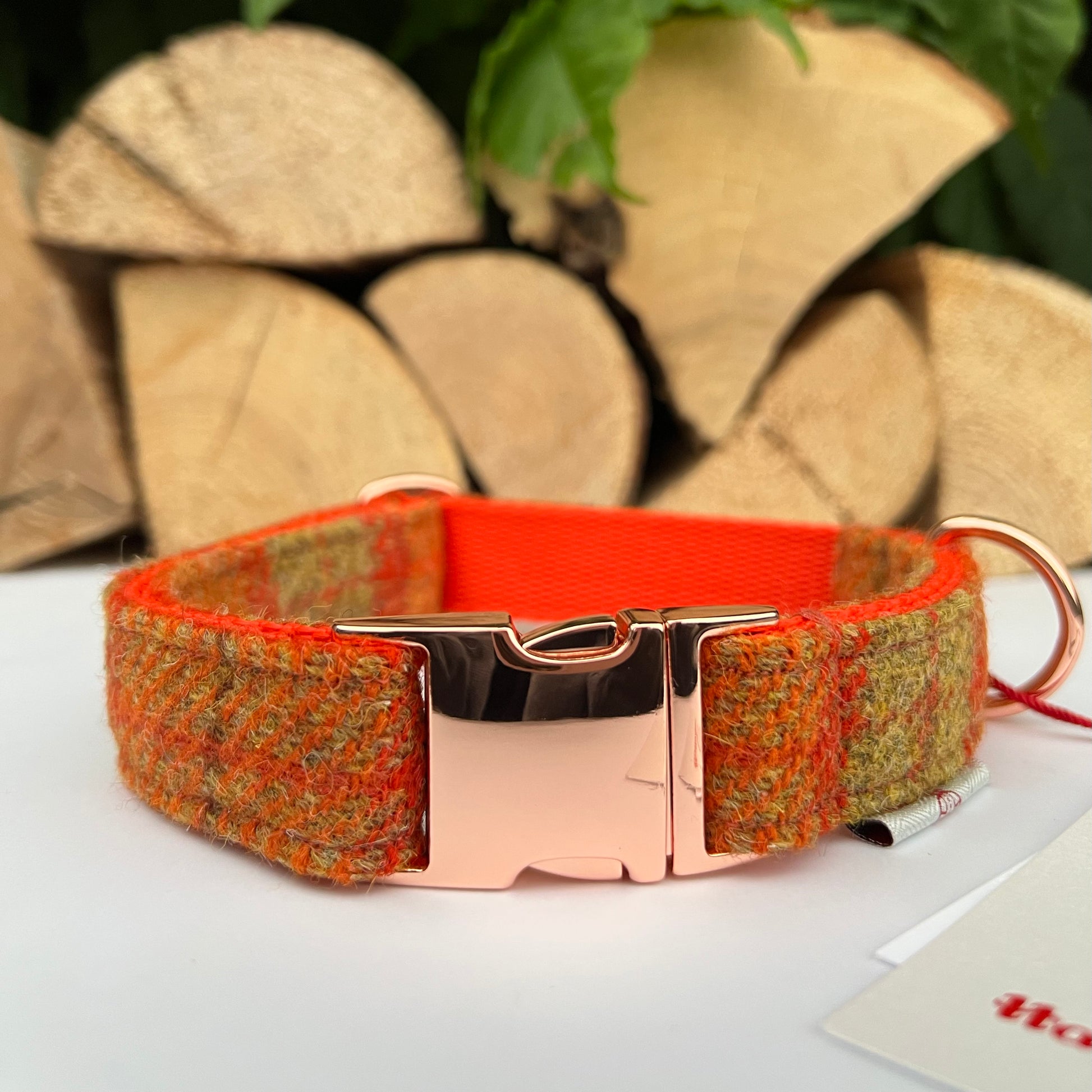 Tweed collar 2024 and lead set