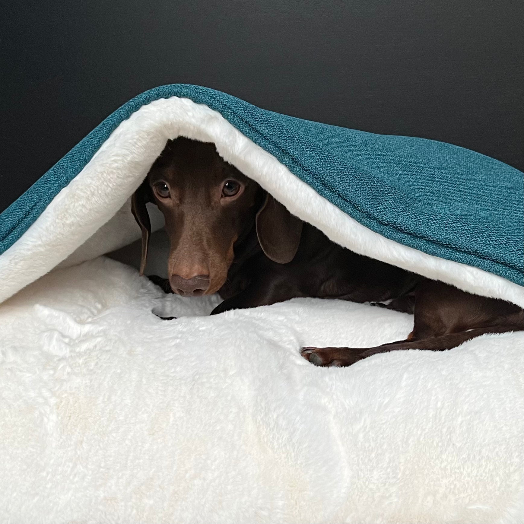 Teal Blue Woven Snuggle Cave Dog Bed Dash Of Hounds