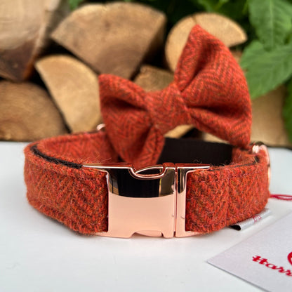 Harris Tweed® Burnt Orange Tweed Dog Collar Bow & Lead Set Hunter & Co.