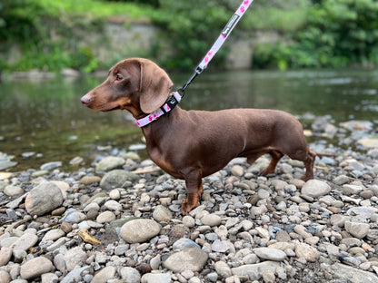 Pink Watercolour Floral Dog Collar Hunter & Co.