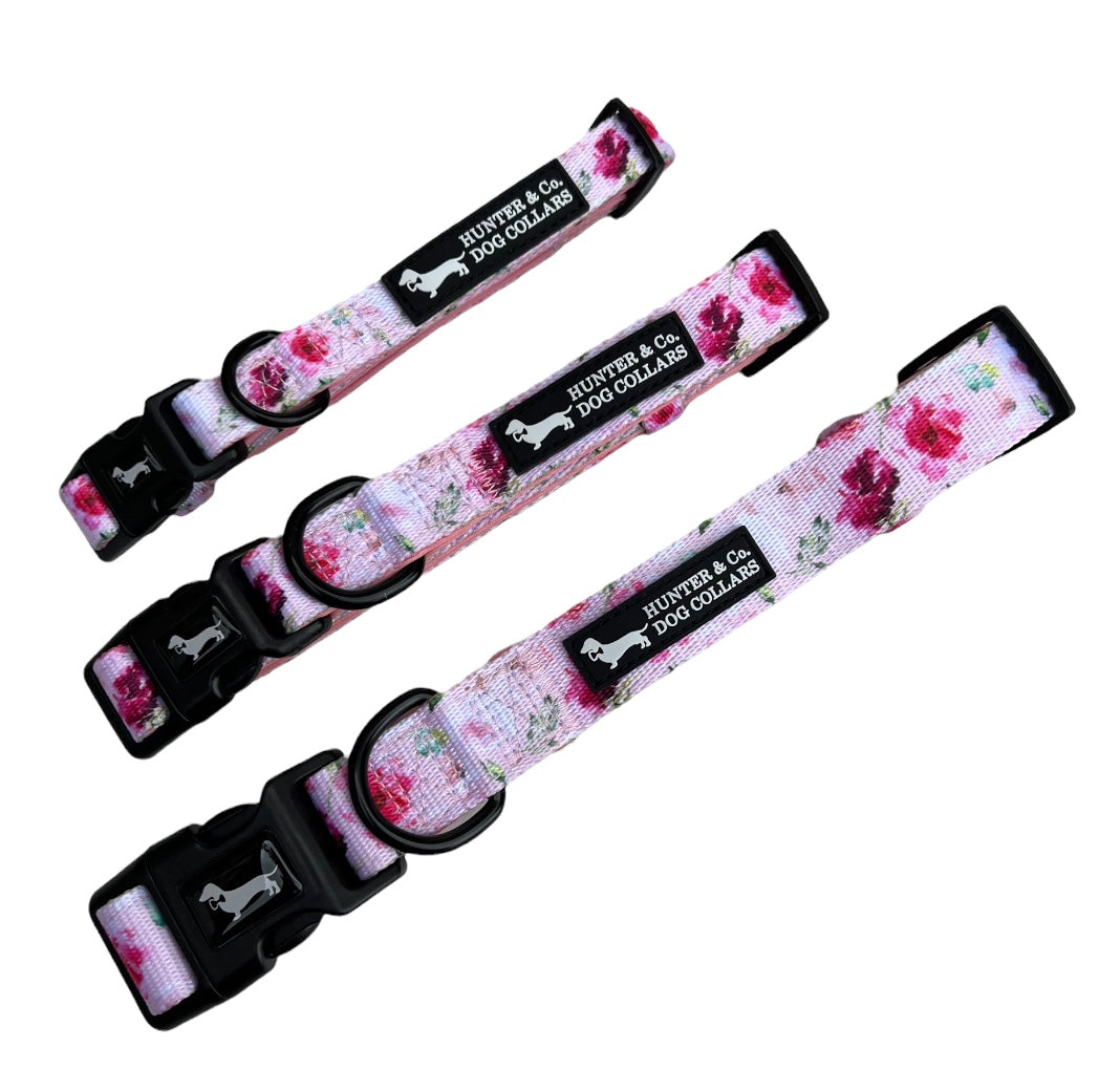 Pink Watercolour Floral Dog Collar Hunter & Co.