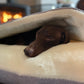 Light Grey Snuggle Cave Dog Bed Dash Of Hounds