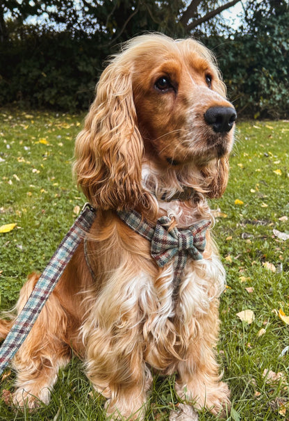 Gun Club Tweed Dog Harness Hunter & Co.