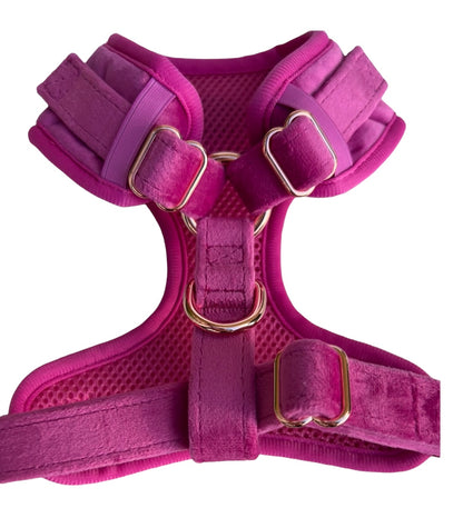 Luxury Pink Velvet and Rose Gold Dog Harness Hunter & Co.