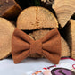 Gingerbread Tan Merino Lambswool Tweed Dog Collar Bow & Lead Set Dash Of Hounds