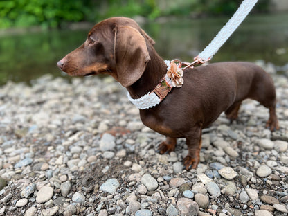 White Lace Wedding Dog Collar Flower and Lead Set Rose Gold Hunter & Co.