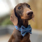 Harris Tweed® Rainbow Dog Collar Bow & Lead Set Hunter & Co.