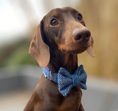 Harris Tweed® Rainbow Dog Collar Bow & Lead Set Hunter & Co.